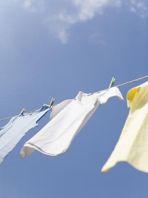 桜ゴルフの魅力を徹底解剖!会員権購入からコース選びまで知っておくべきポイント